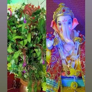 Meet your Posher, Padmaja